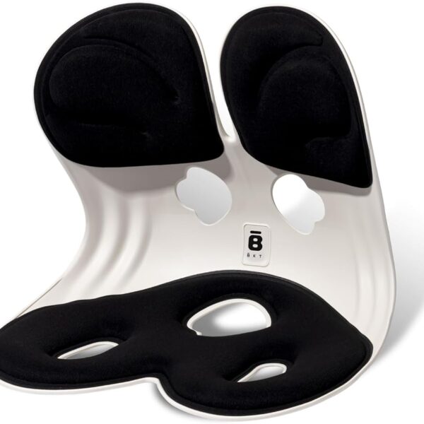 Xiaomi BKT Ergonomic Lumbar Support Chair Large Version (GB/T32487-2016)